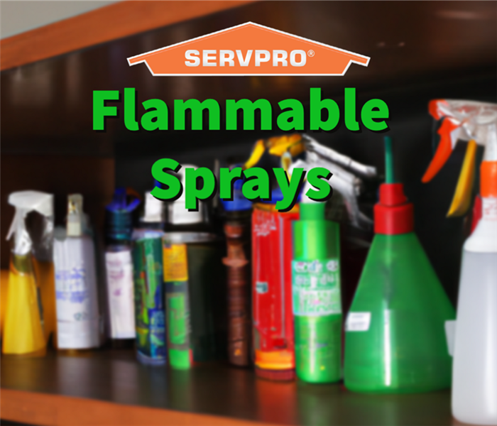 A shelf of flammable sprays being safely stored in a Fulton County home.