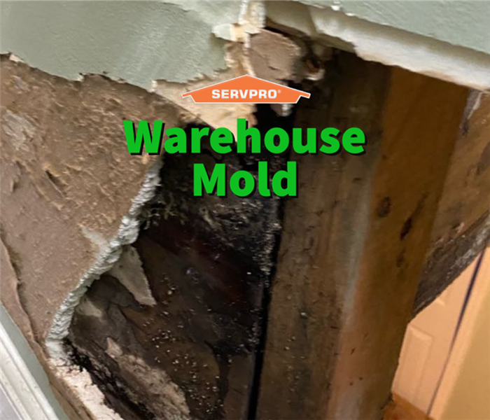Warehouse mold that caused structural damage